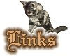 Links