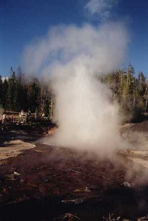 Yellowstone N.P. (Wyoming)