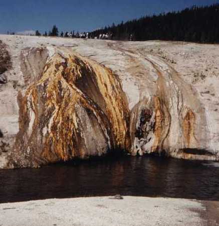 Yellowstone N.P.