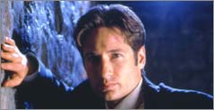 fox mulder