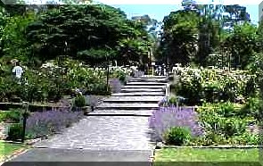 BOTANIC